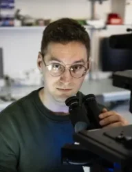 tomberg